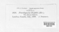 Image Associated With the Occurence